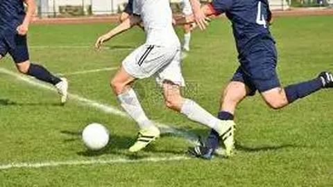 博业体育 产品 130248 fay