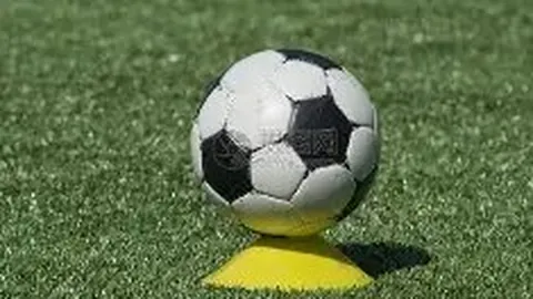 博业体育 产品 101805 owl