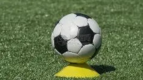 博业体育 产品 100323 lwn